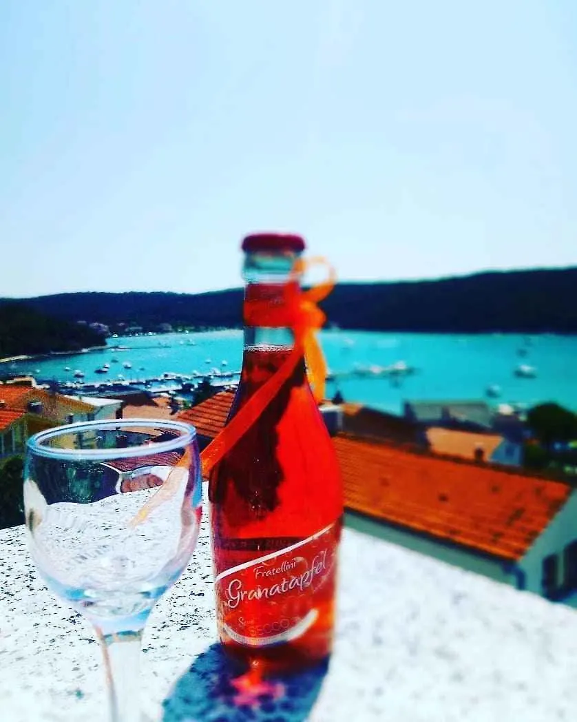 Apartments In Kampor - Insel Rab 43962 Croatia