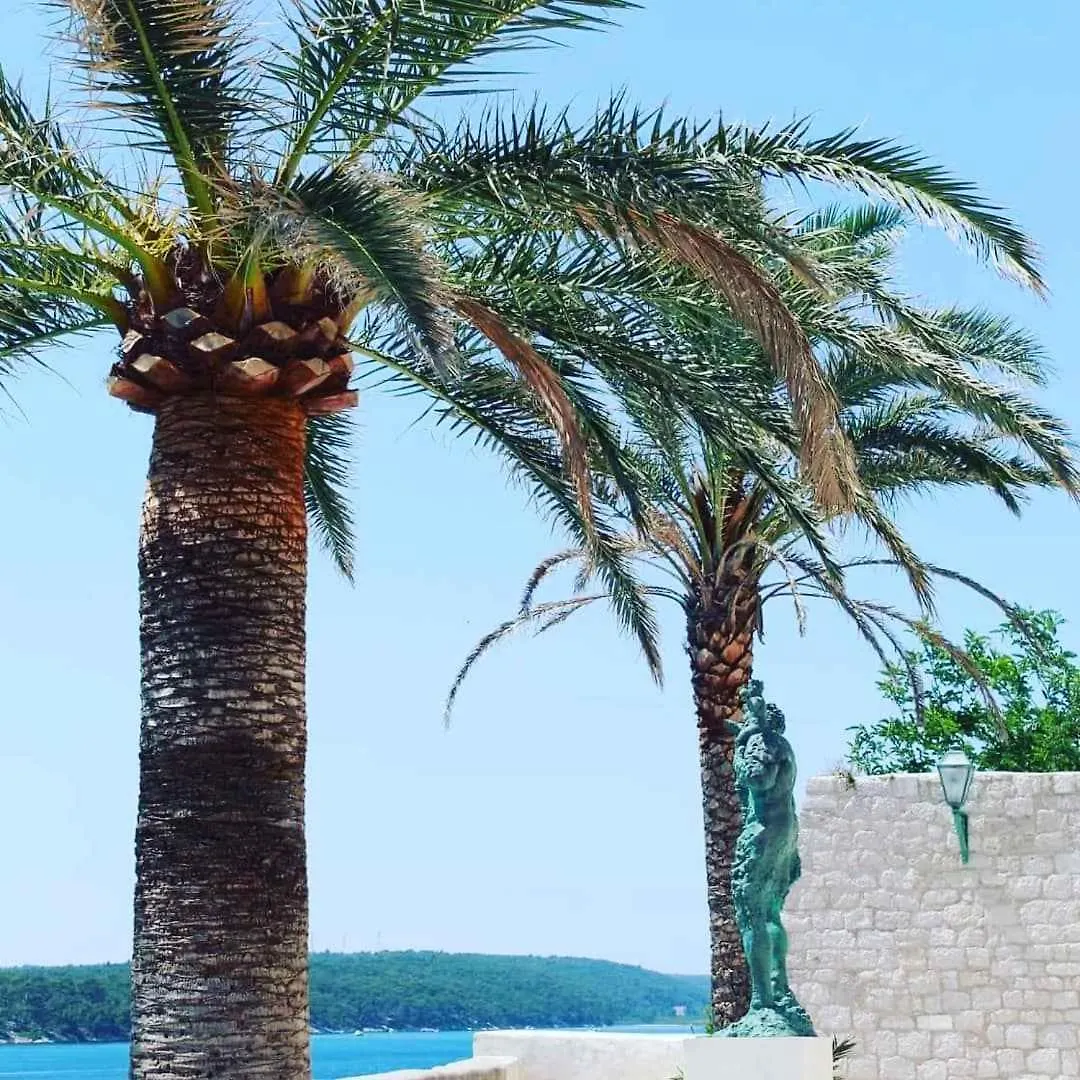 Apartments In Kampor - Insel Rab 43962 Chorvatsko